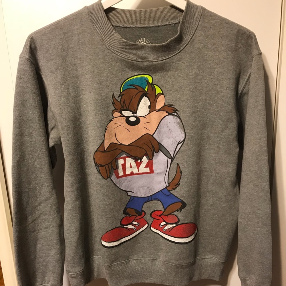 Taz Looney Tunes Sweater - MEDIUM